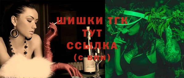 прущие грибы Зеленодольск
