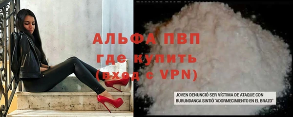 ПСИЛОЦИБИНОВЫЕ ГРИБЫ Заволжье