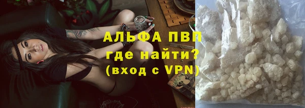 шишки Заволжск