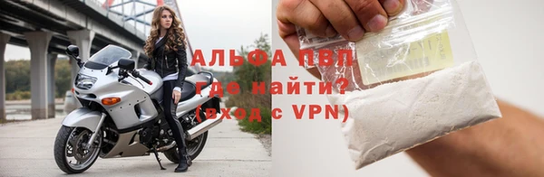 ПСИЛОЦИБИНОВЫЕ ГРИБЫ Заволжье
