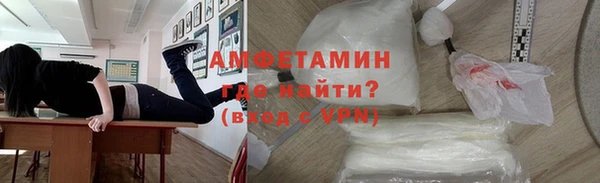 шишки Заволжск