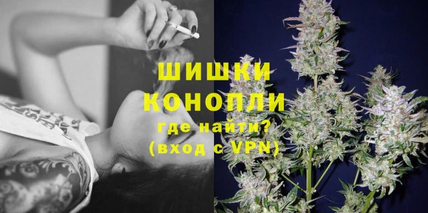 ПСИЛОЦИБИНОВЫЕ ГРИБЫ Заволжье