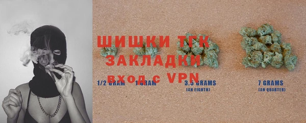 шишки Заволжск