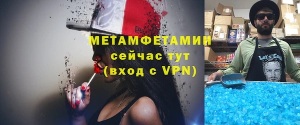 ПСИЛОЦИБИНОВЫЕ ГРИБЫ Заволжье