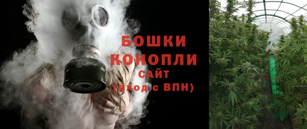 прущие грибы Зеленодольск